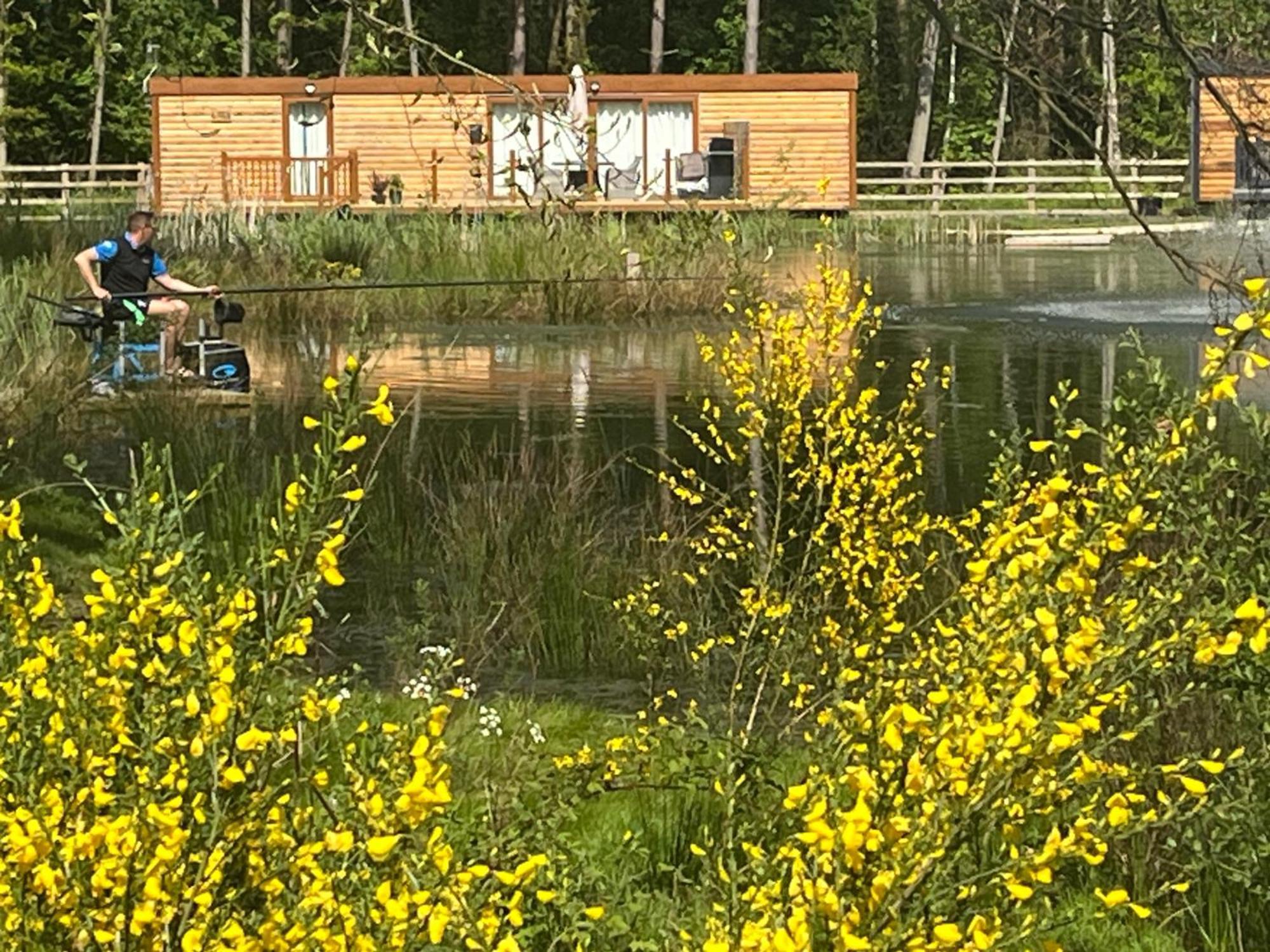 Oak Boutique Lodge Includes Hot Tub Air Con & Dog York Buitenkant foto